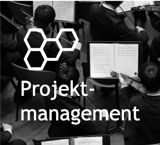 Projektmanagement_bw